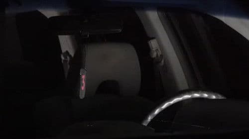 Brower's Blog Bild 2