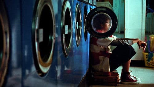 Budget Paradise Bild 2