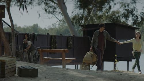 Κάμπια Νύμφη Πεταλούδα Bild 5