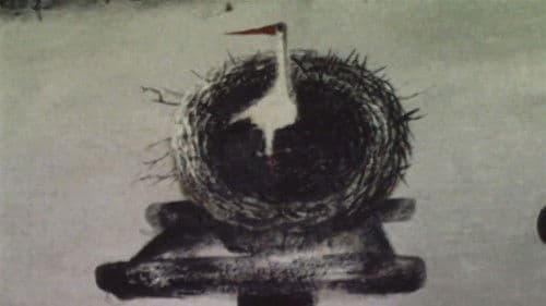 Цвіт папороті Bild 1