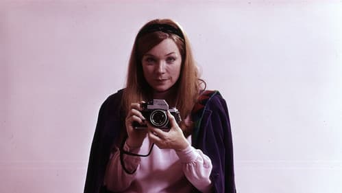 Shirley's World Bild 4