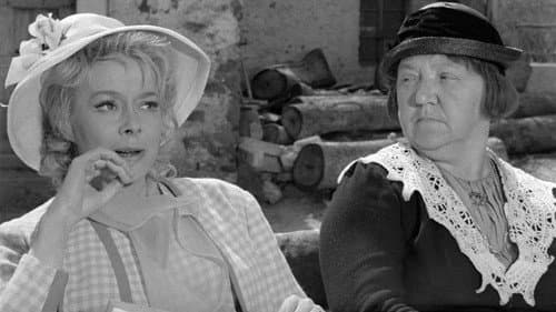 Tistega lepega dne Bild 2