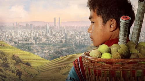 背背篓的网球少年 Bild 1