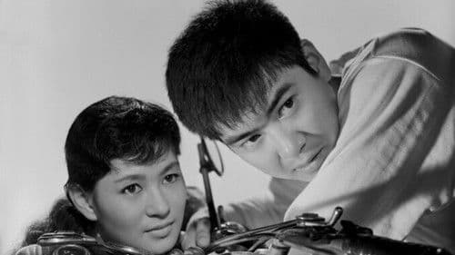 嵐の中を突っ走れ Bild 1