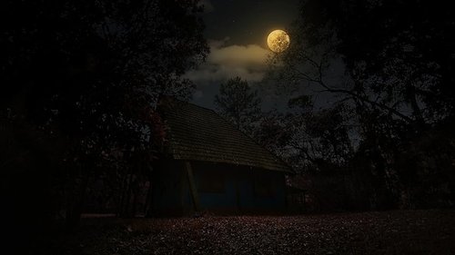 Algo sobre Ilda Bild 1