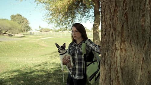 A Box of Faith Bild 2