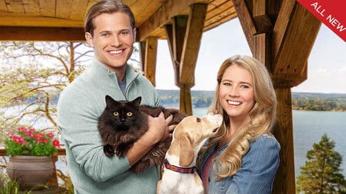 Zwei wie Hund und Katz' Bild 4