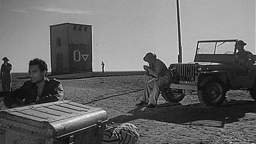 Nicht mehr fliehen Bild 2