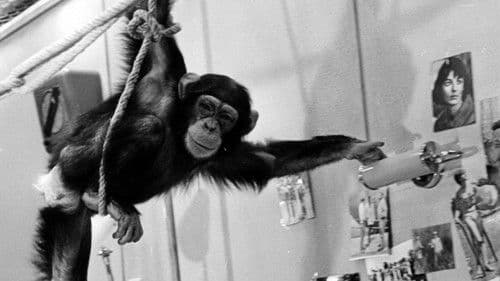 Cała naprzód Bild 6