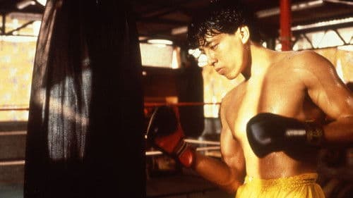 拳王 Bild 1