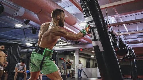 Conor McGregor Bild 2