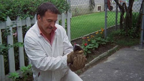 O.K.... Laliberté Bild 2