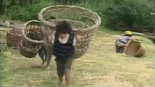 Белото циганче Bild 1