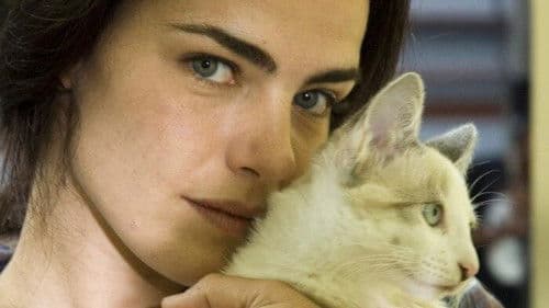 Zurück ins Glück Bild 3