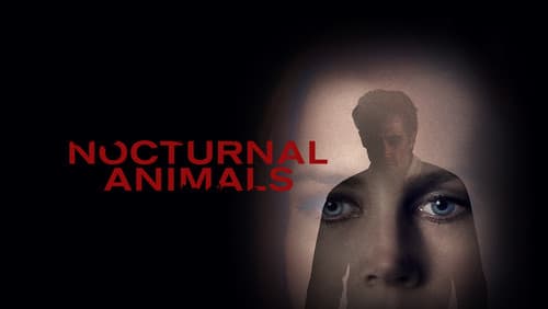 Nocturnal Animals Bild 8