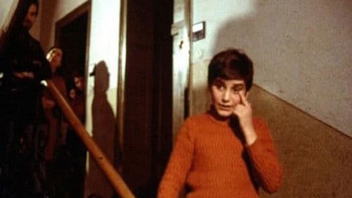 Inventur - Metzstraße 11 Bild 1