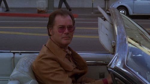 Harry und Tonto Bild 4