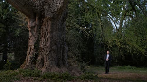 Silent Friend Bild 1