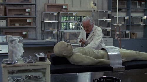 Sssssnake Kobra Bild 4