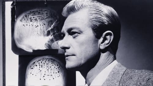 Michael Shayne Bild 1