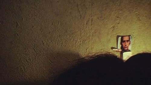 In Vandas Zimmer Bild 2