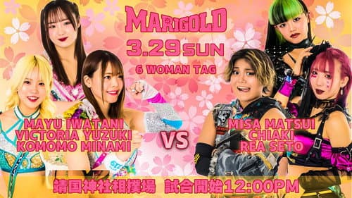 〜高須クリニックpresents〜靖国神社奉納プロレス「マリーゴールド大和神州女祭り」 Bild 2