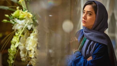 حرفه‌ای Bild 4