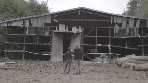 Putin's Playground Bild 1