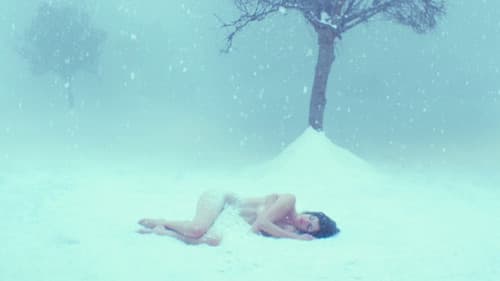 Wie ein weißer Vogel im Schneesturm Bild 6