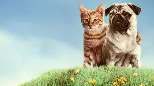 Miez und Mops - Zwei tierische Freunde Bild 4