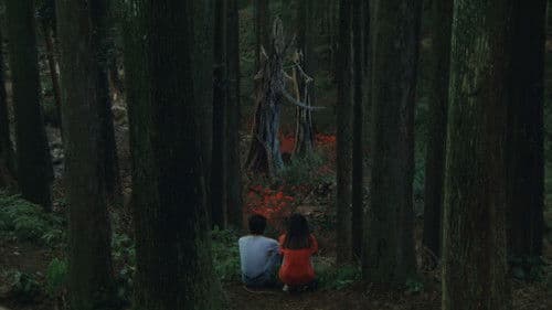 Rhapsodie im August Bild 1