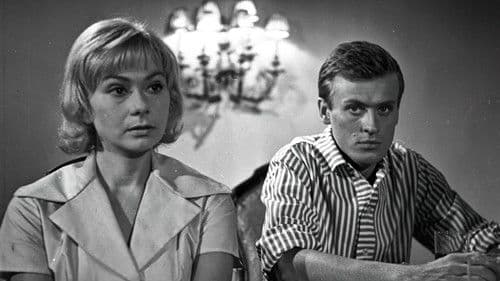 Kryptonim Nektar Bild 6