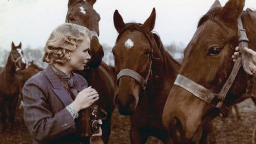 Wo immer du bist Bild 1