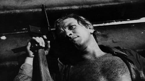 Terra em Transe Bild 2