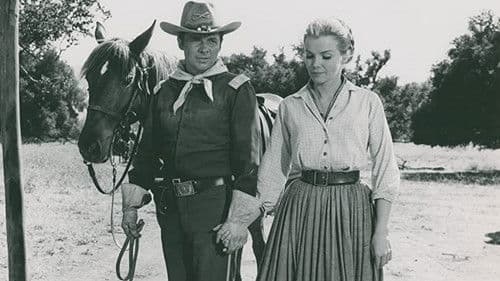 Gewehre zum Apachen-Paß Bild 3