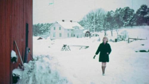 The Indelicate Balance Bild 1