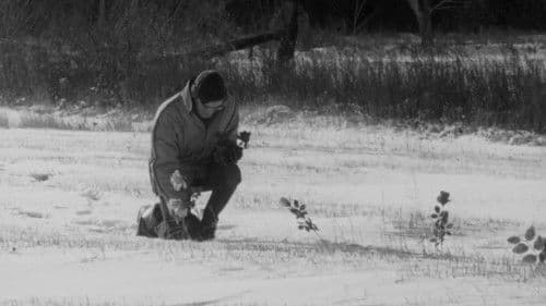 Le Révolutionnaire Bild 6