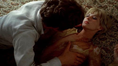 More – mehr – immer mehr Bild 5