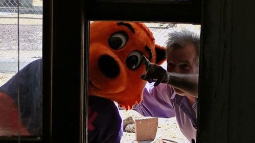 Cool Cat vs Dirty Dog 'The Virus Wars' Bild 5