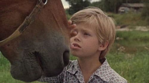 Хомут для Маркиза Bild 1