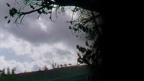 Meuterei am Schlangenfluß Bild 8