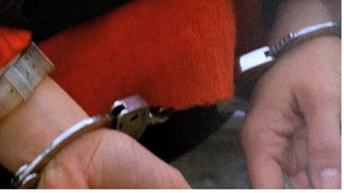 The Pleasure of Being Robbed Bild 7