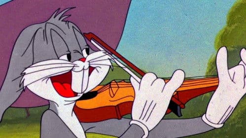 Hillbilly Bunny Bild 3