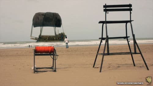 Translocador orgánico Bild 2