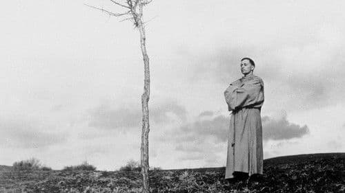 Franziskus, der Gaukler Gottes Bild 2