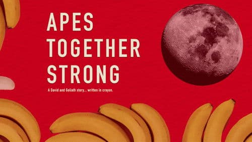 Apes Together Strong Bild 2