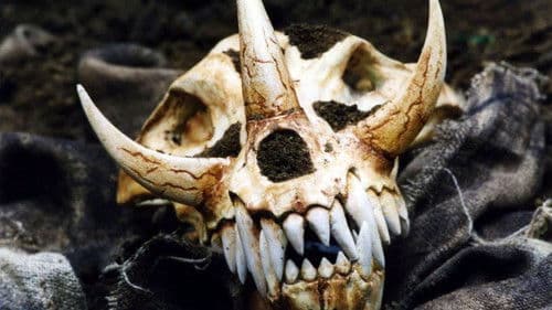 Wald des Grauens Bild 1