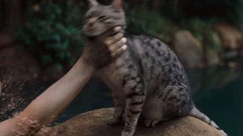 Tödlicher Anruf Bild 8