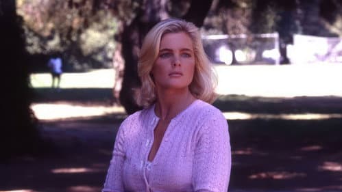 Stealth Fighter Bild 4