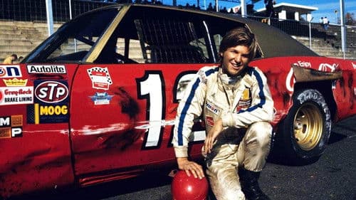 Der letzte Held Amerikas Bild 2